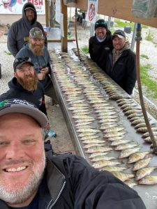 Lake Erie Perch fishing charters